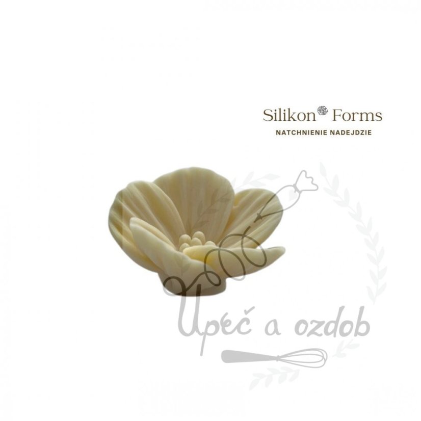 Silikonová forma - Calibri