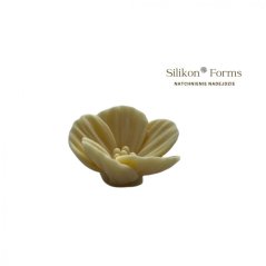 Silikonová forma - Calibri