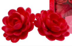 anglická rúže velká - červená 5ks
