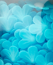 Jedlý papír – Modré pomněnky 10ks