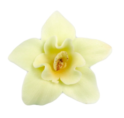 Cukrové zdobení - Velká žlutá orchidej 1 ks