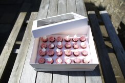 Vysoká krabičky na mini Cupcakes 24 ks – bílé