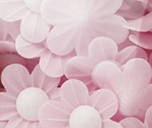 Jedlý papír - Růžové pomněnky 10ks