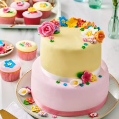 Barevné potahovací hmoty Funcakes - Růžová paleta barev