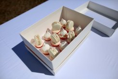 Vysoká krabička na mini cupcakes 12 ks - bílá