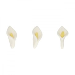 Cukrové zdobení - Květy Kala bílá 24 ks