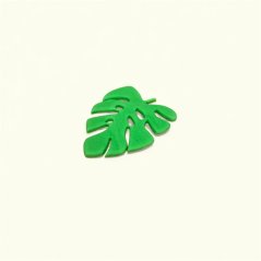 Monstera list