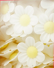 Květiny z jedlého papíru - Bílé pomněnky 10ks