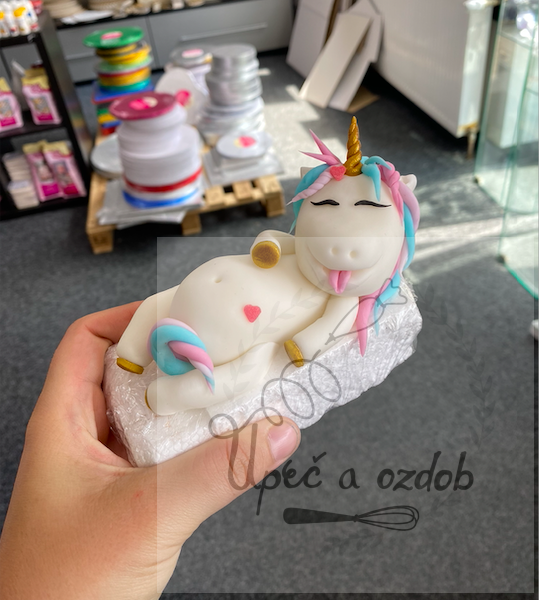 Spící jednororžec