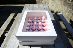 Vysoká krabičky na mini Cupcakes 24 ks – bílé