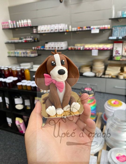 Pejsek s mašličkou