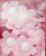 Jedlý papír – Růžové pomněnky 10ks
