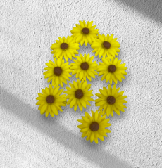 Fondánové kytičky Slunečnice (12ks)
